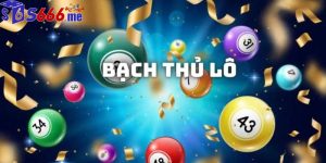 Bạch Thủ Lô S66